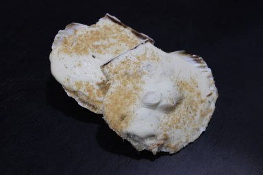 coquille st jacques.jpg